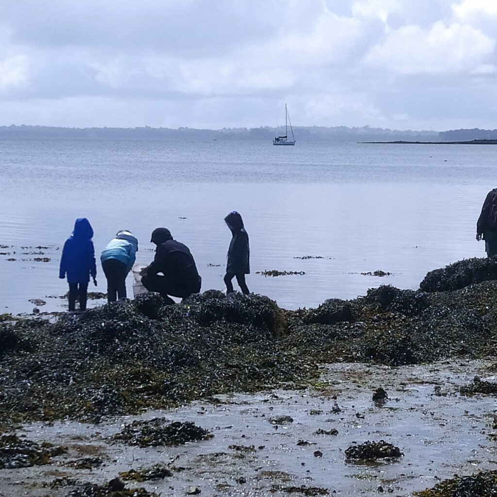 Découvrir la nature et le littoral breton lors d’une sortie scolaire